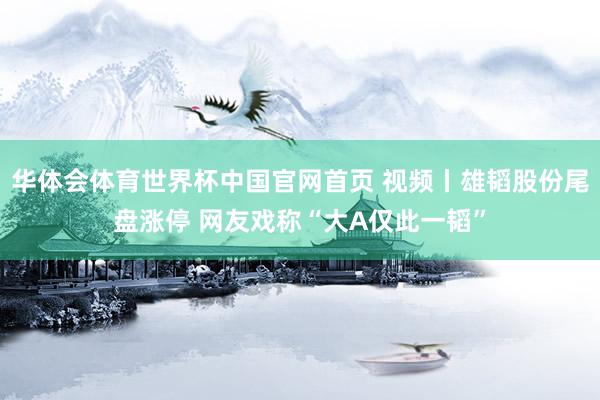 华体会体育世界杯中国官网首页 视频丨雄韬股份尾盘涨停 网友戏称“大A仅此一韬”