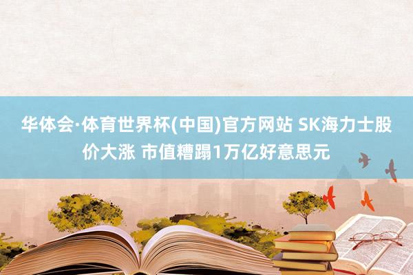 华体会·体育世界杯(中国)官方网站 SK海力士股价大涨 市值糟蹋1万亿好意思元