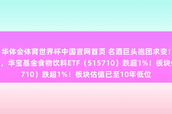 华体会体育世界杯中国官网首页 名酒巨头抱团求变！吃喝板块连续寻底，华宝基金食物饮料ETF（515710）跌超1%！板块估值已至10年低位