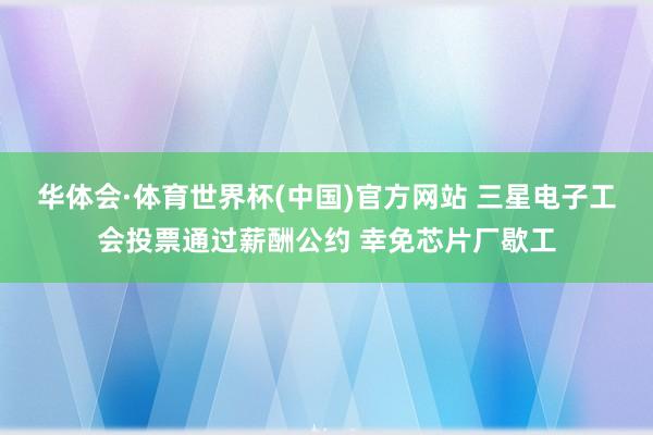华体会·体育世界杯(中国)官方网站 三星电子工会投票通过薪酬公约 幸免芯片厂歇工