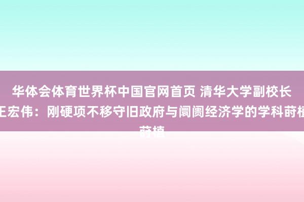 华体会体育世界杯中国官网首页 清华大学副校长王宏伟：刚硬项不移守旧政府与阛阓经济学的学科莳植