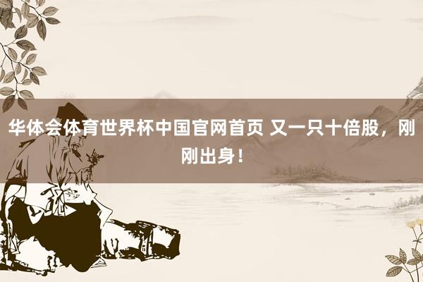 华体会体育世界杯中国官网首页 又一只十倍股，刚刚出身！