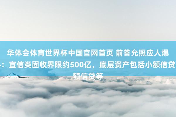 华体会体育世界杯中国官网首页 前答允照应人爆料：宜信类固收界限约500亿，底层资产包括小额信贷等
