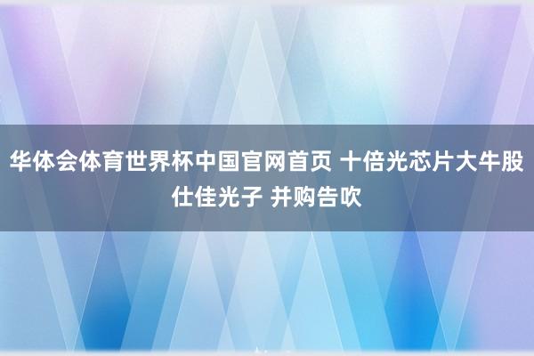 华体会体育世界杯中国官网首页 十倍光芯片大牛股仕佳光子 并购告吹