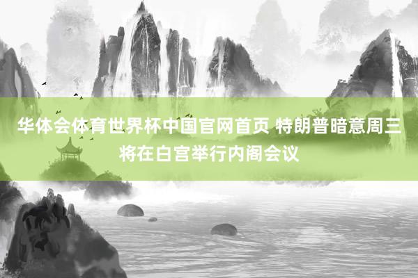 华体会体育世界杯中国官网首页 特朗普暗意周三将在白宫举行内阁会议