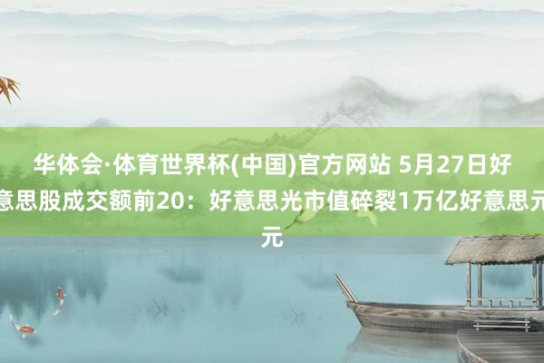 华体会·体育世界杯(中国)官方网站 5月27日好意思股成交额前20：好意思光市值碎裂1万亿好意思元