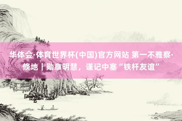 华体会·体育世界杯(中国)官方网站 第一不雅察·倏地｜勋章明慧，谨记中塞“铁杆友谊”