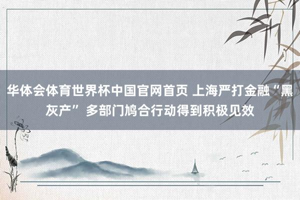 华体会体育世界杯中国官网首页 上海严打金融“黑灰产” 多部门鸠合行动得到积极见效