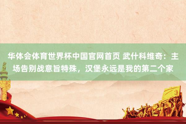 华体会体育世界杯中国官网首页 武什科维奇：主场告别战意旨特殊，汉堡永远是我的第二个家