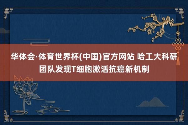 华体会·体育世界杯(中国)官方网站 哈工大科研团队发现T细胞激活抗癌新机制