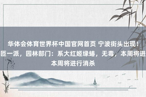 华体会体育世界杯中国官网首页 宁波街头出现！密密