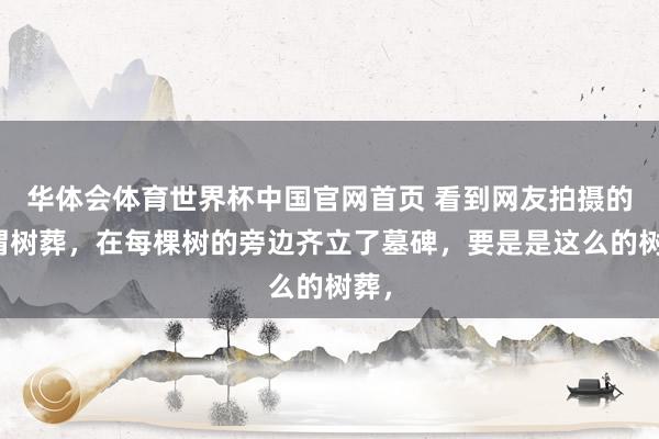 华体会体育世界杯中国官网首页 看到网友拍摄的所谓树葬，在每棵树的旁边齐立了墓碑，要是是这么的树葬，