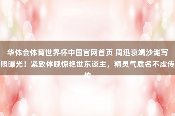 华体会体育世界杯中国官网首页 周迅衰竭沙滩写照曝光！紧致体魄惊艳世东谈主，精灵气质名不虚传
