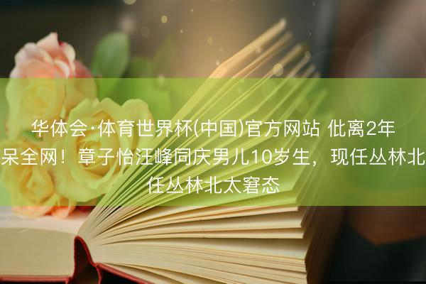 华体会·体育世界杯(中国)官方网站 仳离2年瓦解惊呆全网!章子怡汪峰同庆男儿10岁生,现任丛林北太窘态