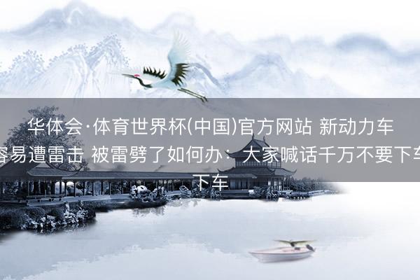 华体会·体育世界杯(中国)官方网站 新动力车容易遭雷击 被雷劈了如何办：大家喊话千万不要下车